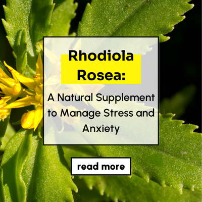 Rhodiola Rosea: A Natural Supplement to Manage Stress and Anxiety