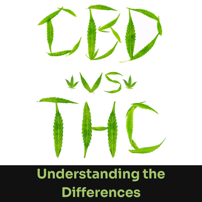 CBD vs THC: Understanding the Key Differences