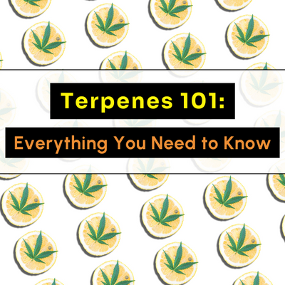 Terpenes 101: Everything You Need to Know