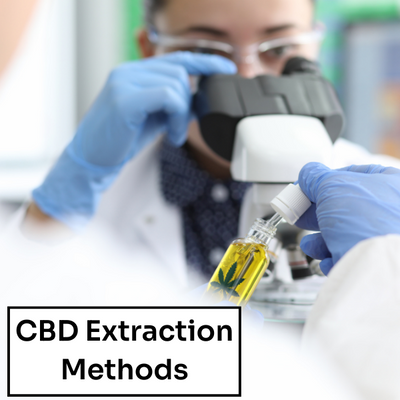 CBD Extraction Methods: CO2, Solvent, Olive Oil and More